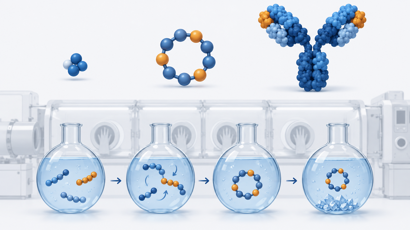 Conceptual diagram: A ring-shaped peptide molecule is drawn between small low s and large antibodies and it is assembled by fragments in a solution