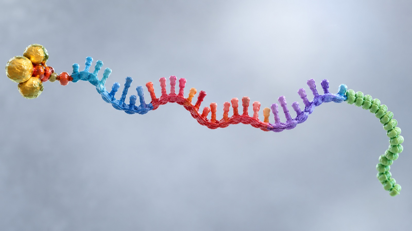 ImageGen educational illustration of mRNA production and delivery (figure 1)